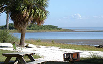 Beach with picnic table